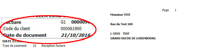 INVOICELUX